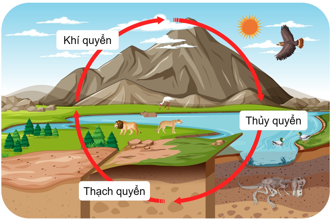 Mối quan hệ giữa sinh quyển và môi trường